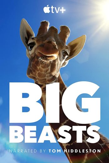 مسلسل Big Beasts  الموسم 1
