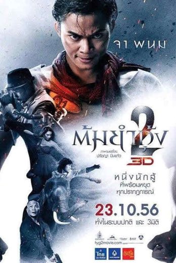 مشاهدة فيلم The Protector 2 2013 مترجم